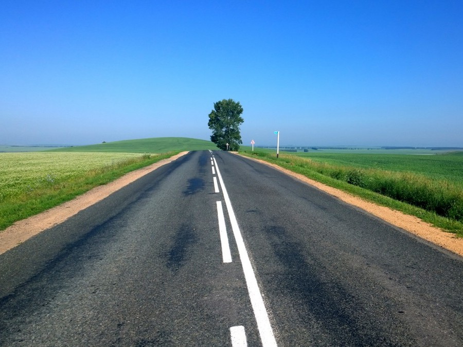 The Road to Sustainability Cover